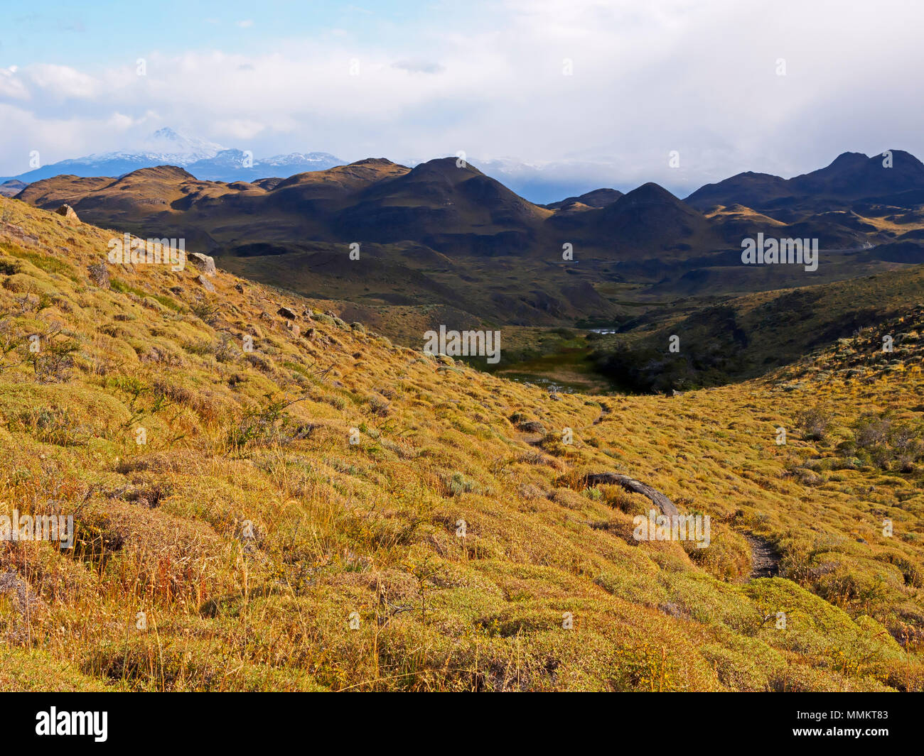 Foothills of the Paine Massif, Torres del Paine National Park, Chile Stock Photo