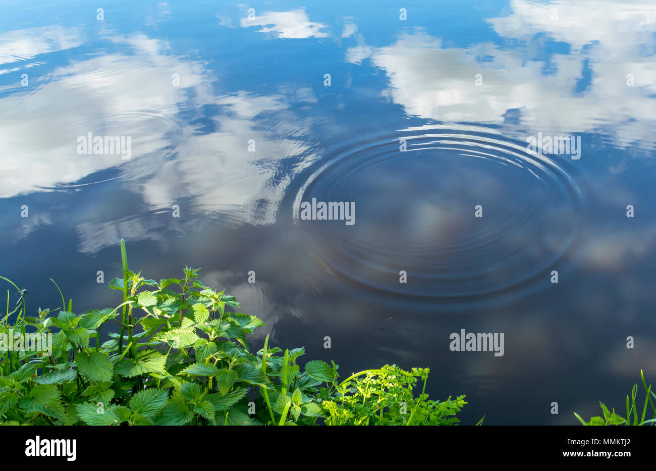 River Bank Ripples Concentric ripples in water hi-res stock photography and images - Alamy