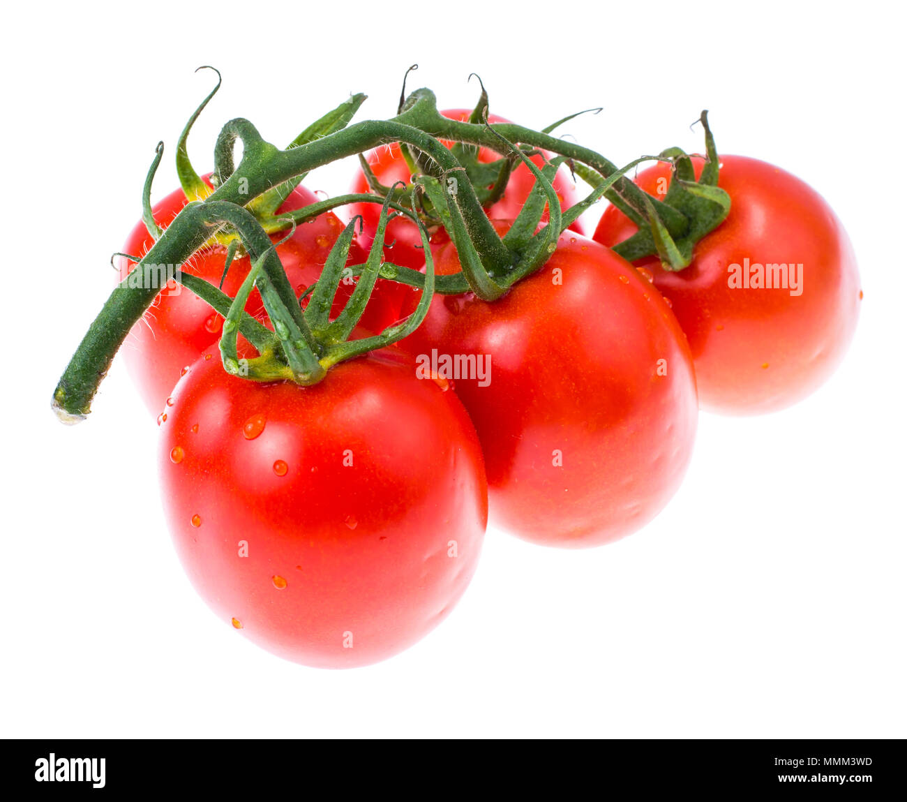Branch of tomatoes isolated on white. Studio Photo Stock Photo - Alamy