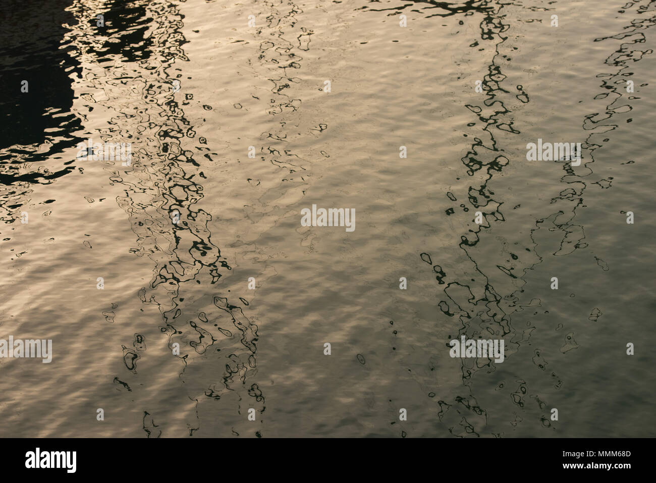 On the golden surface of the pool water black shadows, small waves from