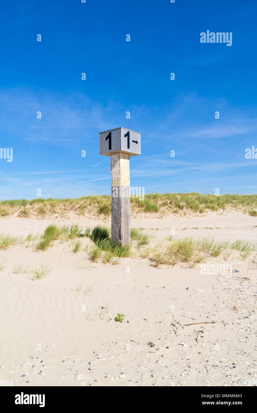 Marked beach pole with number 1 in sand on dune with marram grass on Kennemerstrand beach in IJmuiden, Noord-Holland, Netherlands Stock Photo