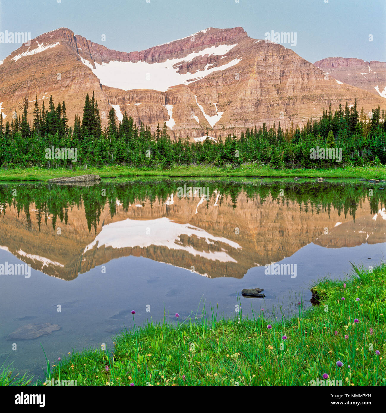 My Image 15