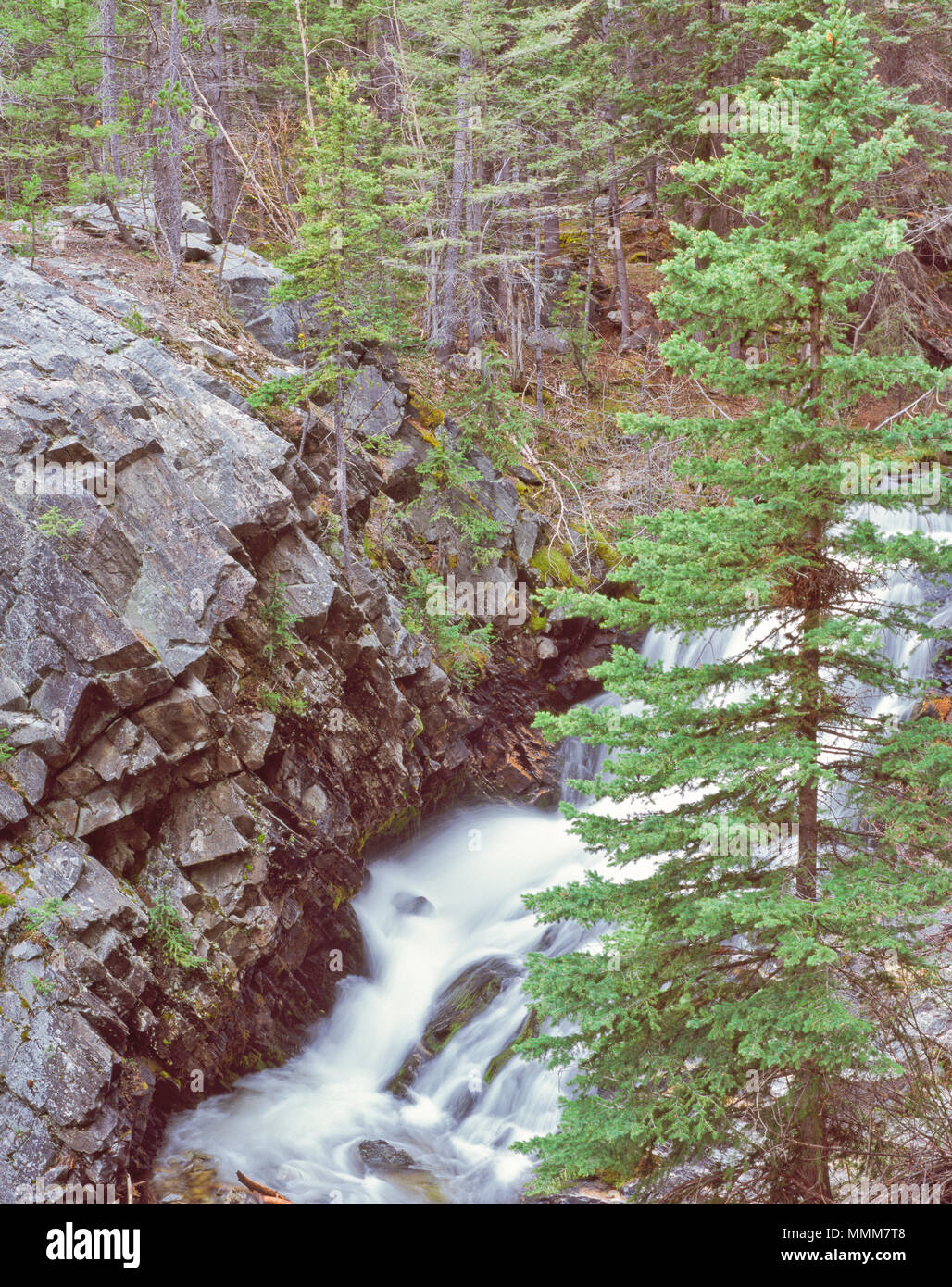 waterfall at lost creek state park near anaconda, montana Stock Photo Alamy