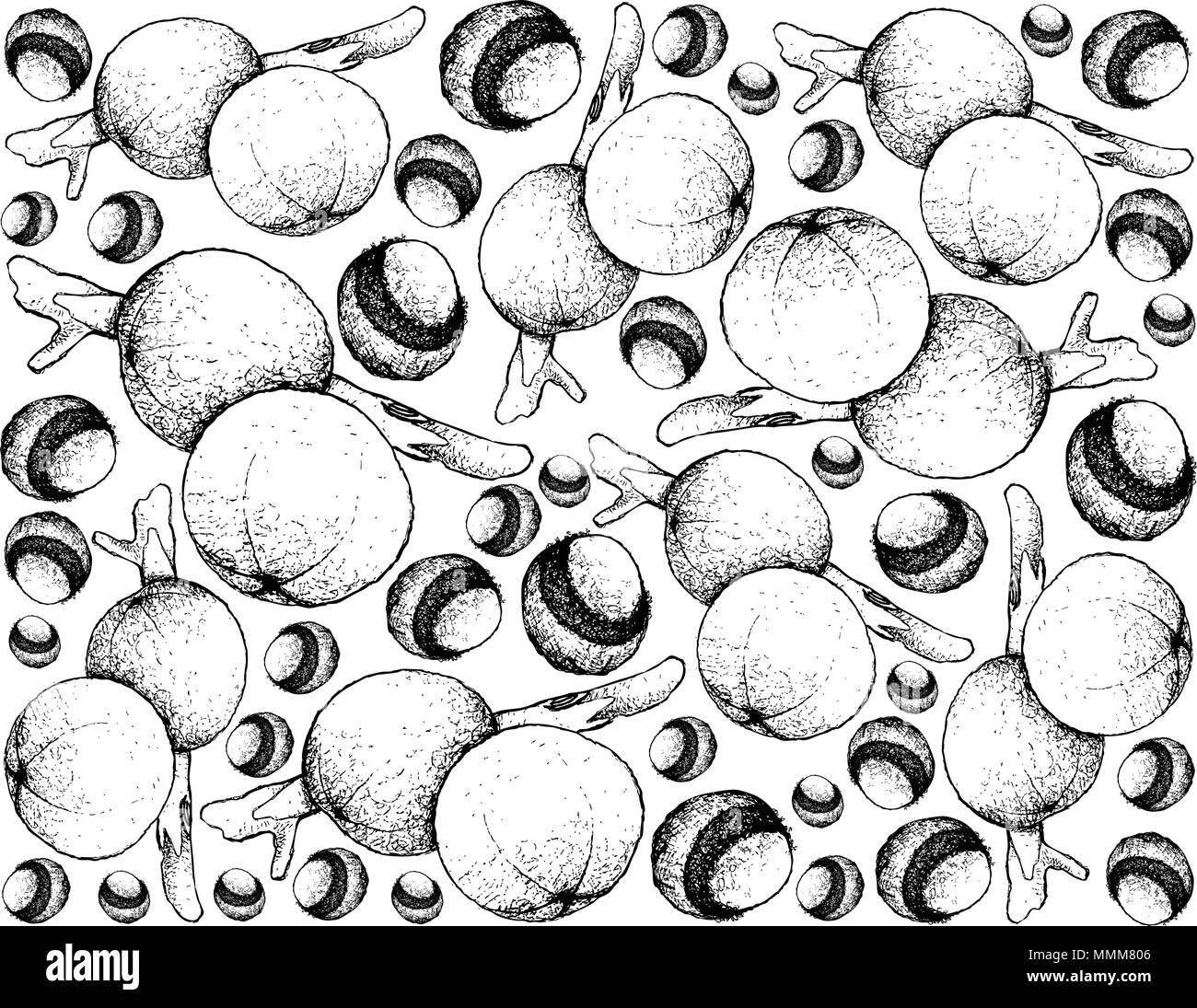 Tropical Fruits, Illustration Wallpaper of Hand Drawn Sketch Cambuca or Plinia Edulis Fruits Isolated on White Background. Stock Vector