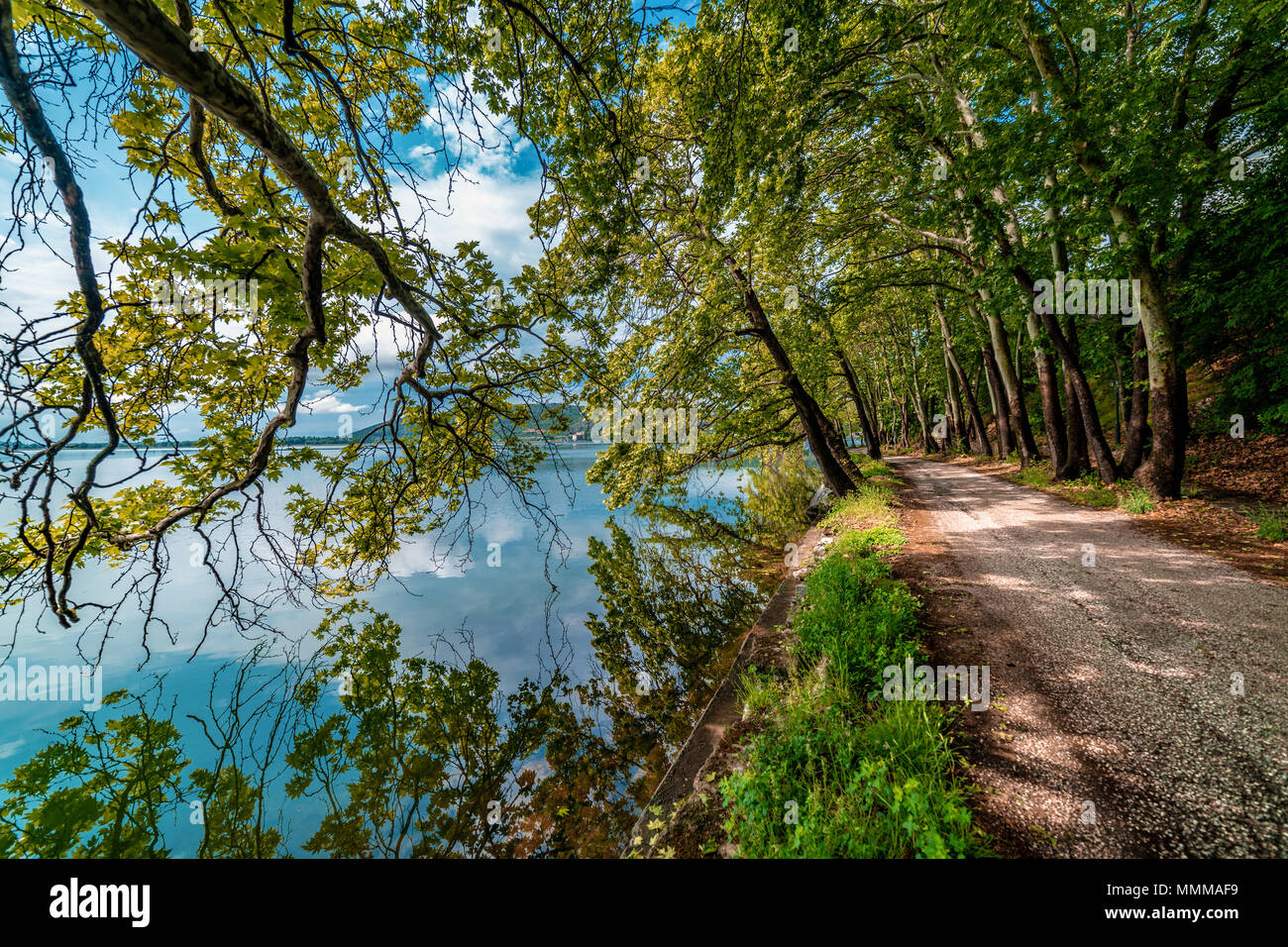 Country Road by the Lake... Beautiful Magical Nature Scene Stock Photo