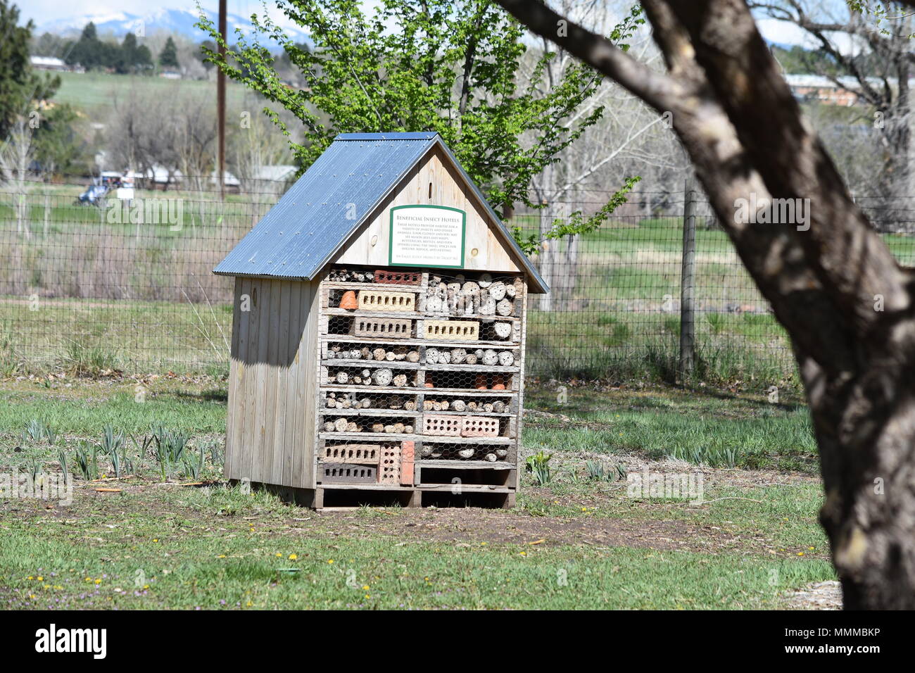 Beneficial Insect House at Hudson Gardens Stock Photo