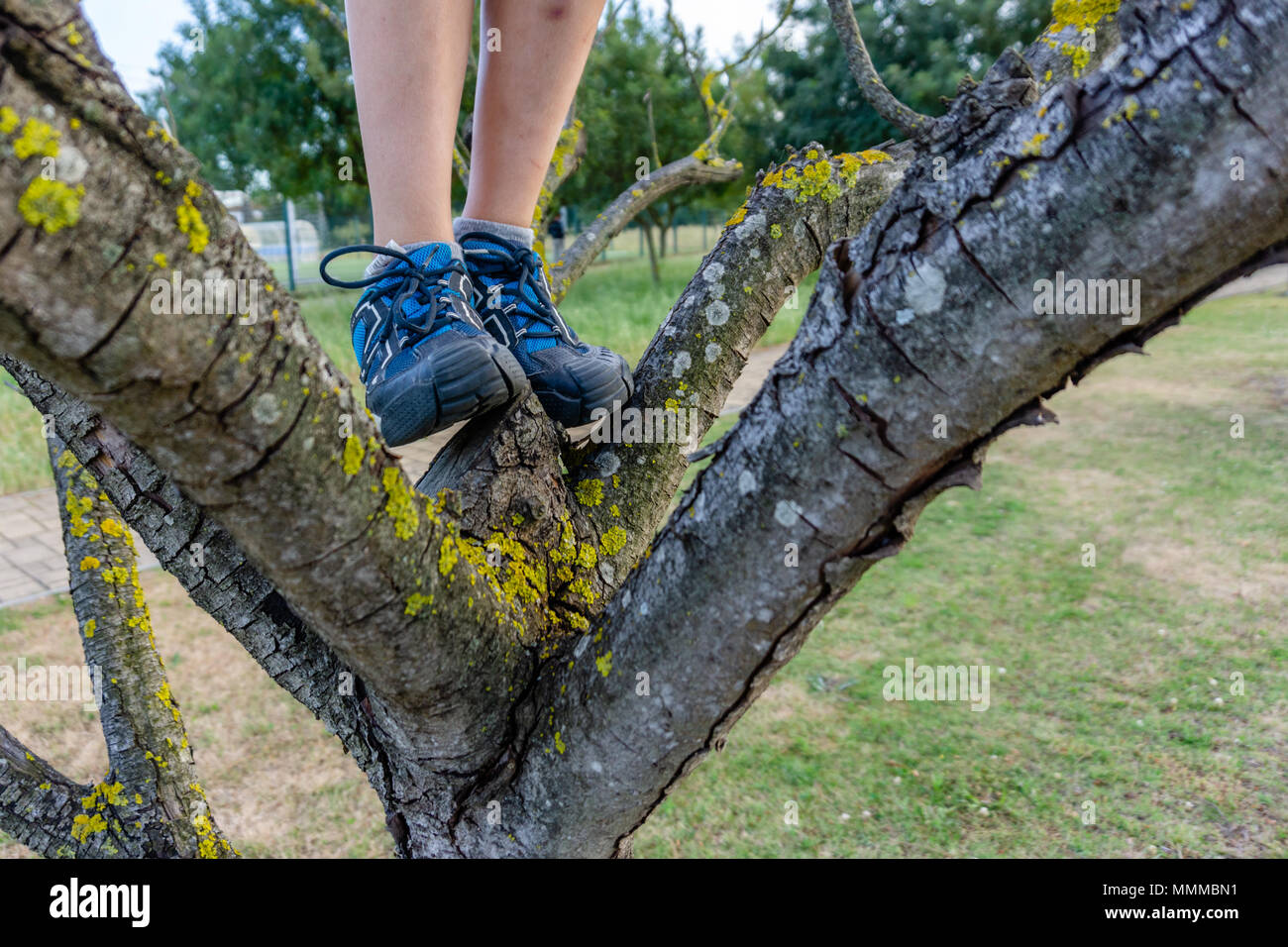 close-up of going child's legs on the tree. shoes in outdoor action ...