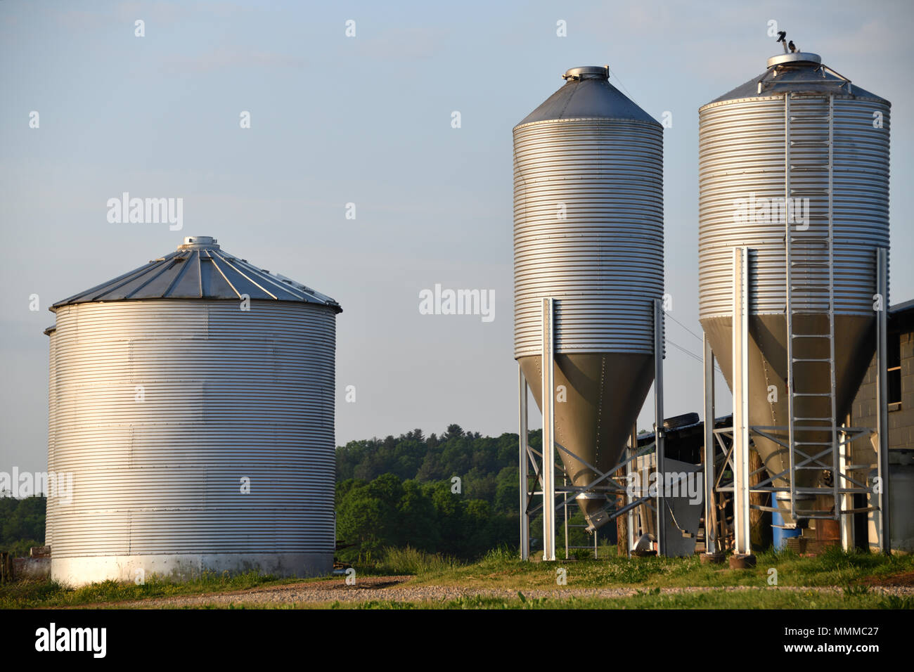 metal grain silos in rural America Stock Photo
