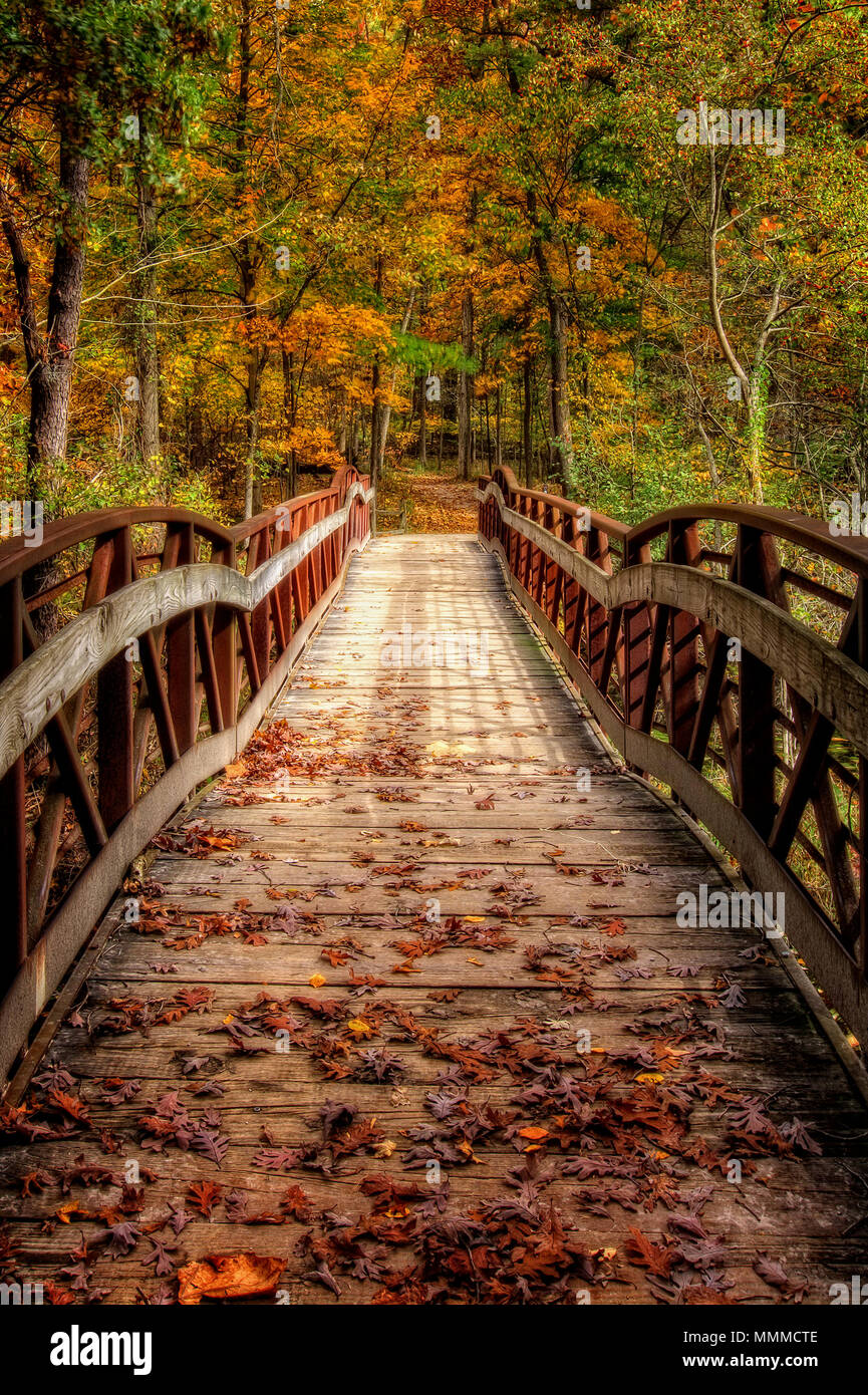 Oak Openings Preserve Metropark