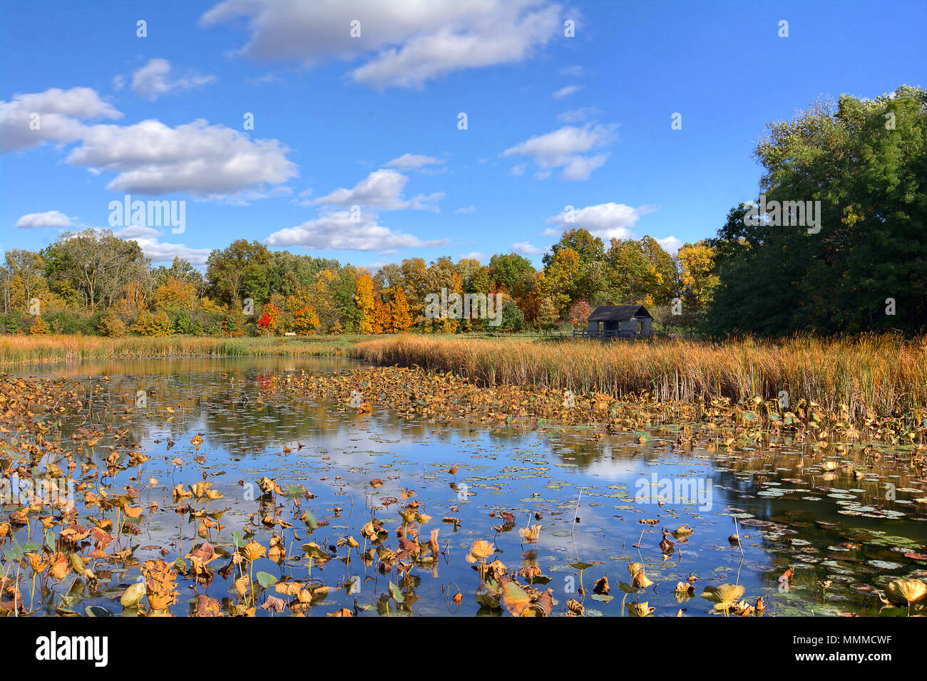 A beautiful autumn scene at a tranquil fishing pond in Ohio. The pond features a rustic shelter house. Located in the W.W. Knight Nature Preserve. Stock Photo