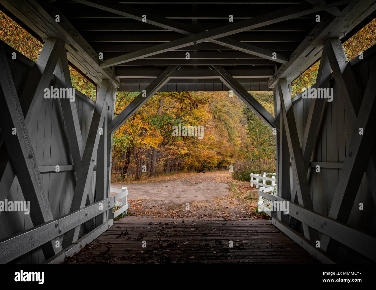 Looking out at the beautiful fall colors from the inside of the Everett Road Covered Bridge in the Cuyahoga Valley National Park in Ohio. Stock Photo