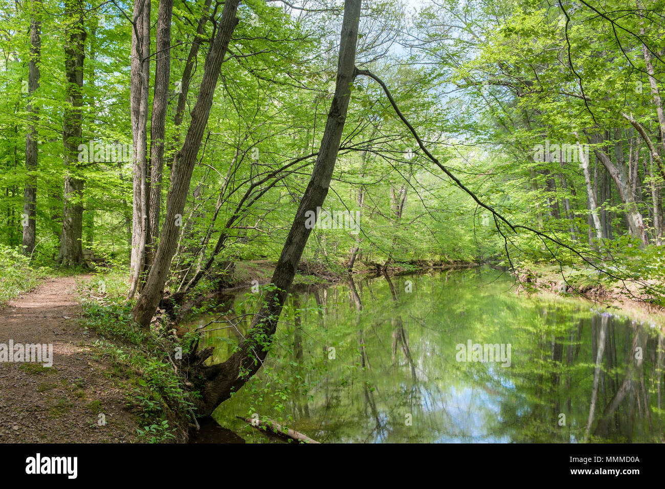 Pennsylvania Landscape, Pidcock Creek in Garden in Bucks County