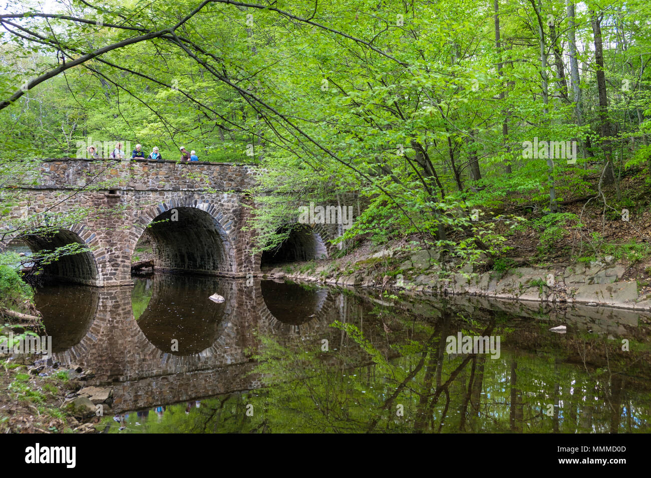 Stone Bridge and Pidcock Creek in Garden in Bucks County with native
