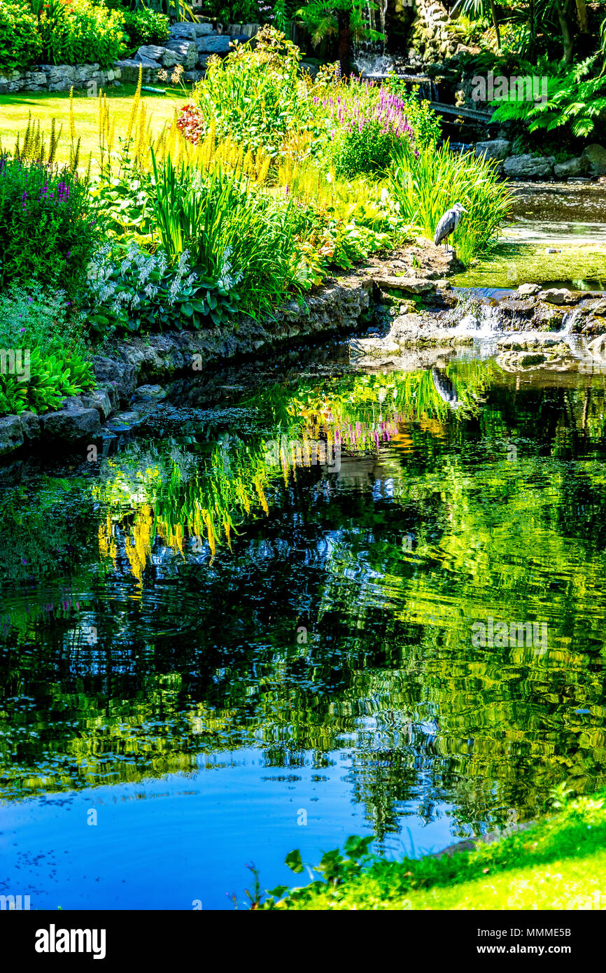 Reflections of a beautiful garden in a pond in a London park Stock Photo