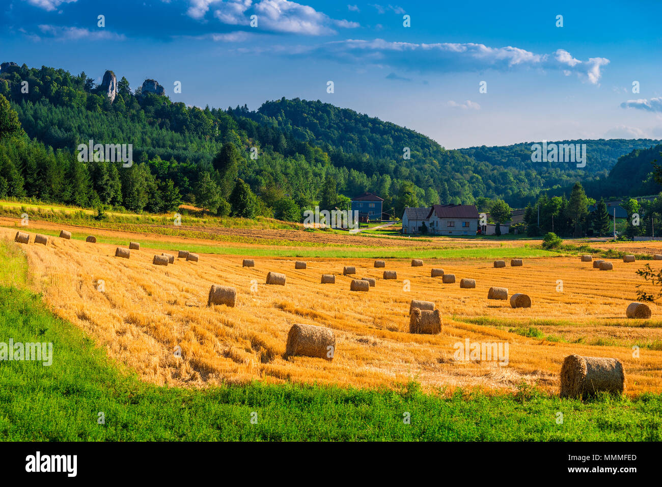 Field after harvesting stacks hi-res stock photography and images - Alamy