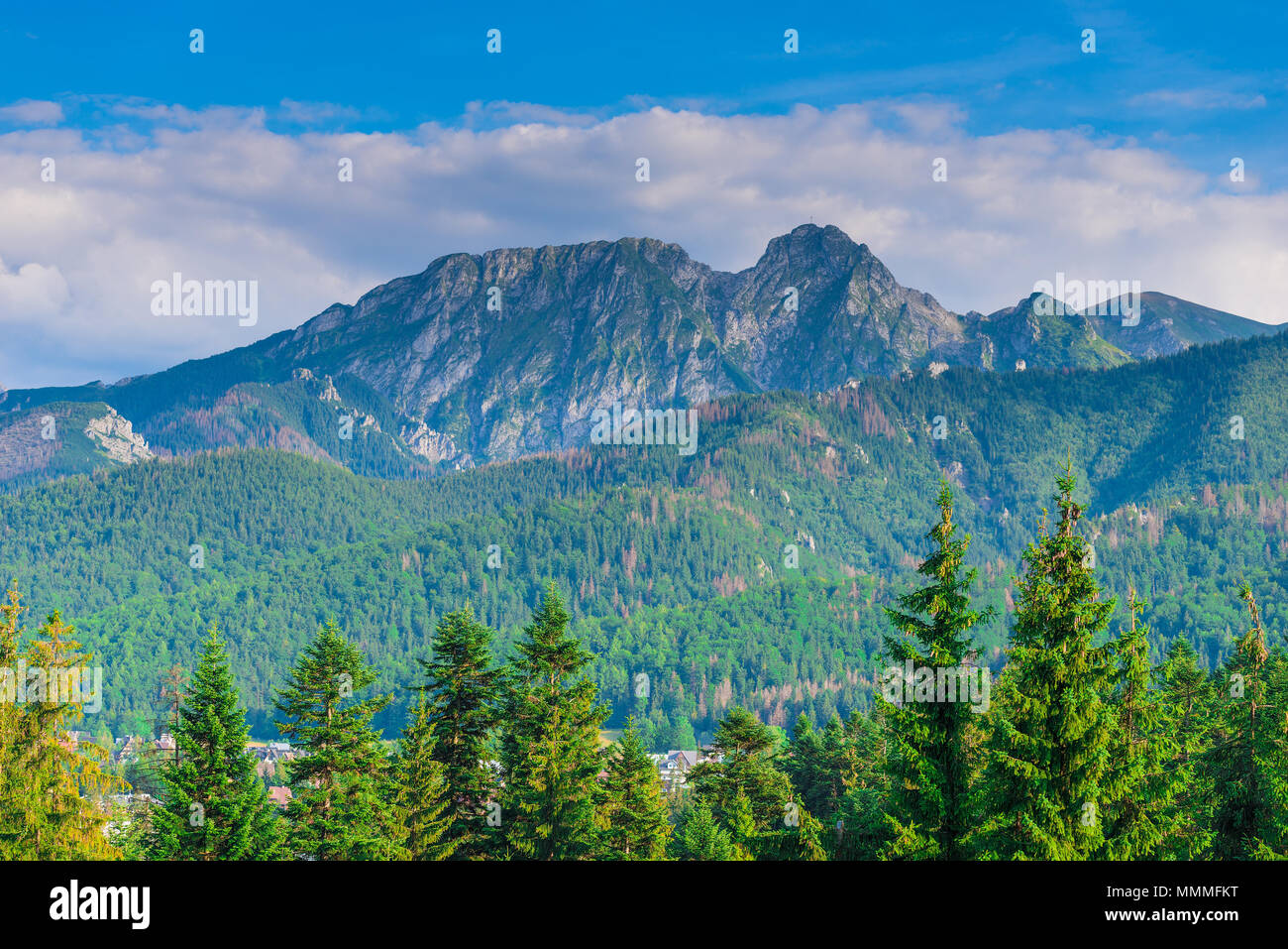 high mountains of the Tatra mountains, surrounded by a coniferous ...