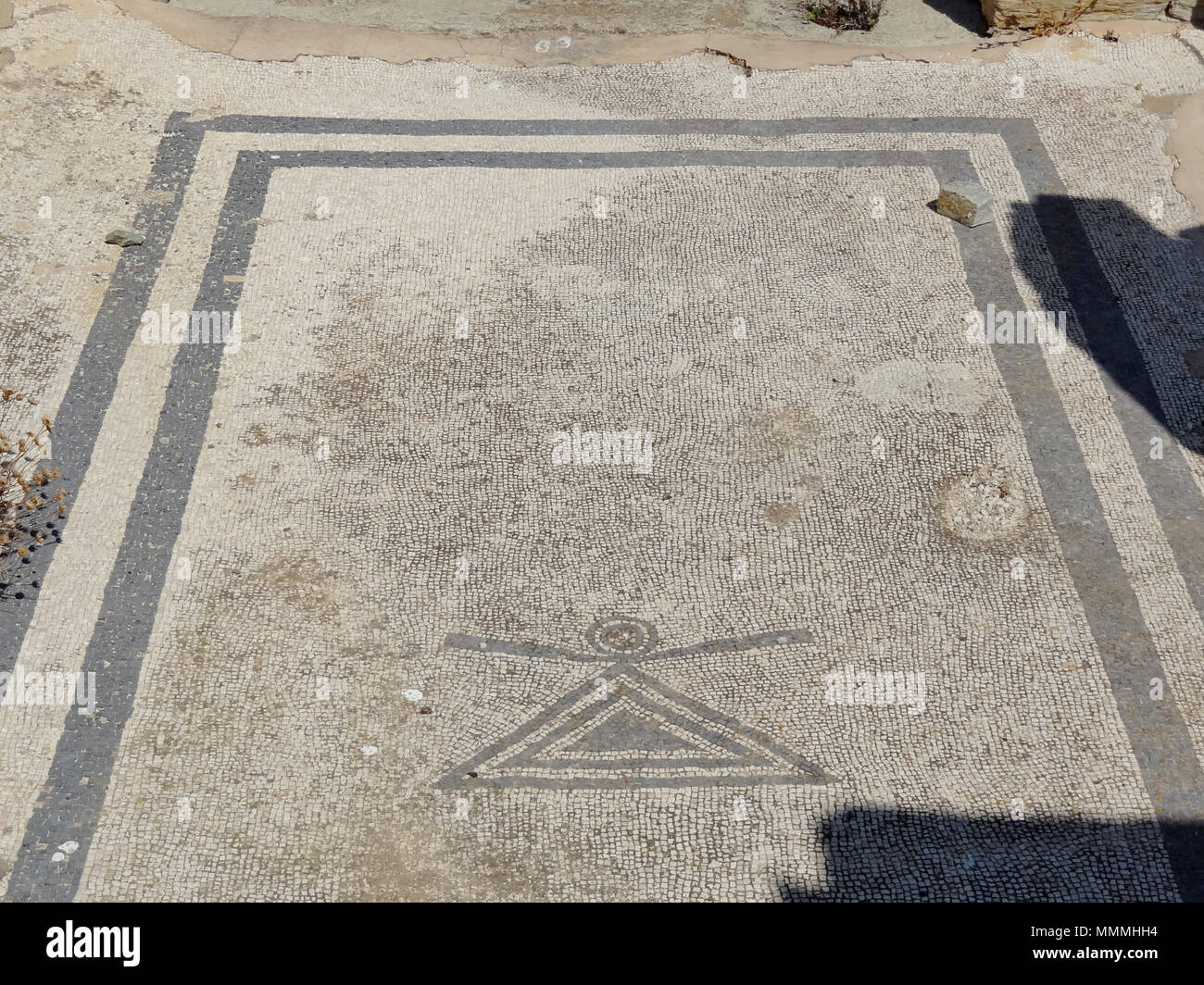 Delfine Stock Photos Delfine Stock Images Page 2 Alamy