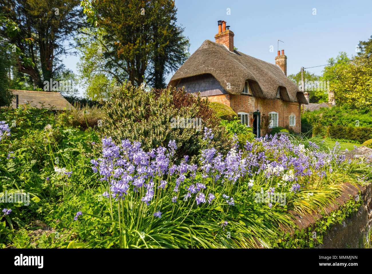 A traditional thatched cottage in local style with bluebells in the front garden, East Stratton, a small village near Winchester in Hampshire, UK Stock Photo