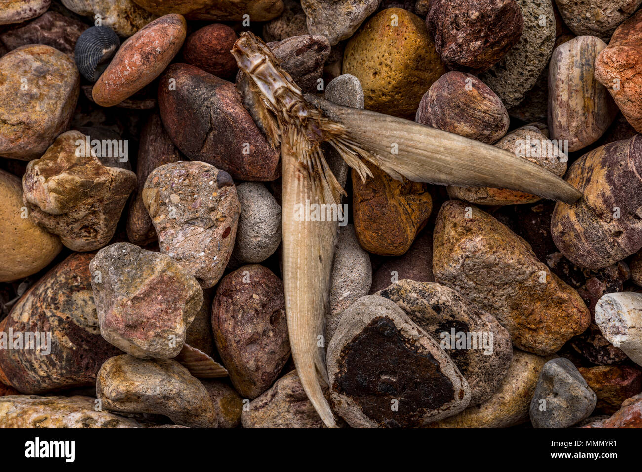 Stone Beach pebbles of rosty colors on Pacific Island Stock Photo