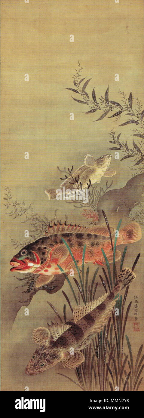 . English: Fish and Waterweeds by Kano Asunobu, ink and color on silk, 82.9 x 30.8 cm, early 18th century  . early 18th century. Kano Asunobu 'Fish and Waterweeds' by Kano Asunobu, early 18th century Stock Photo
