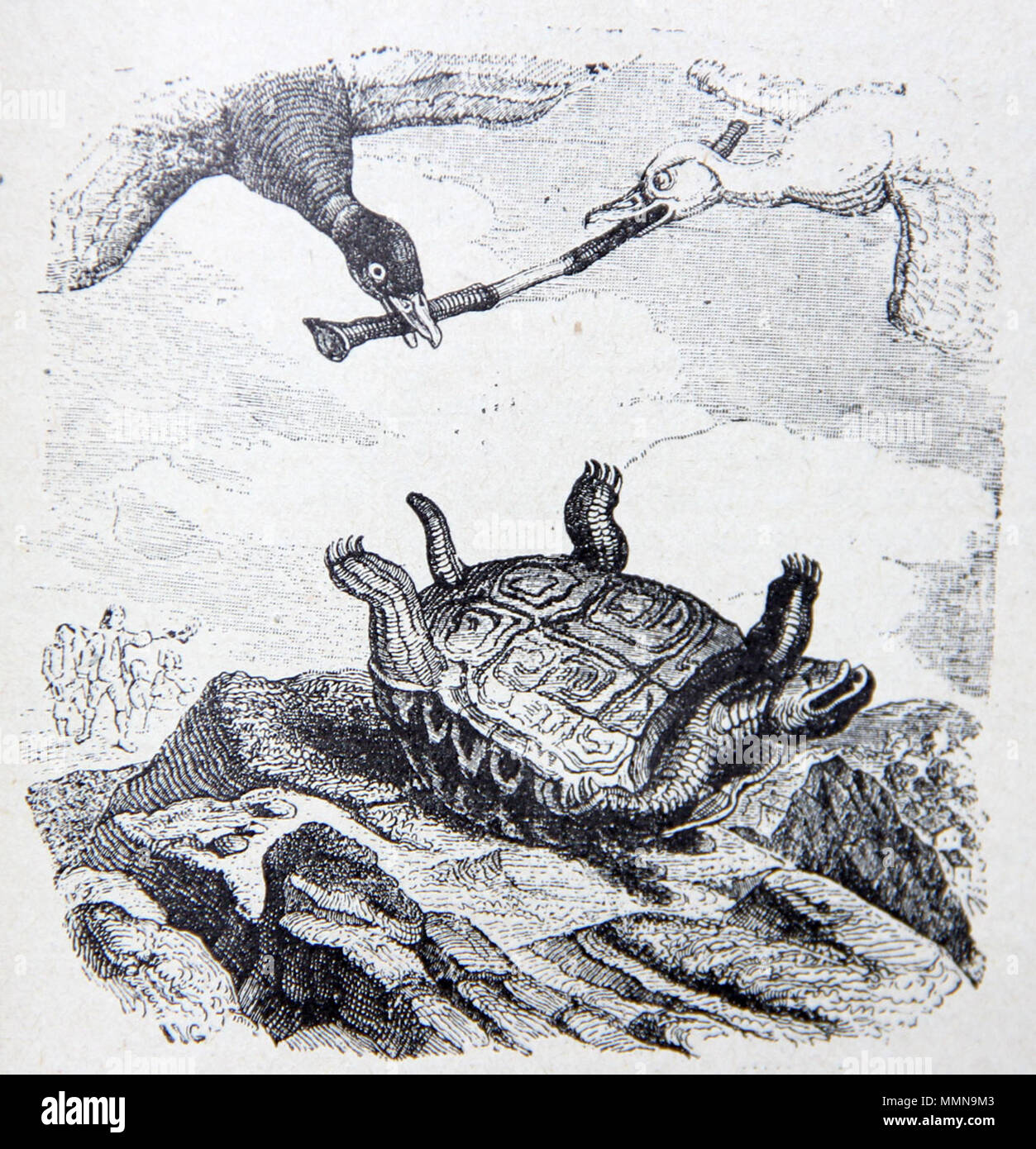 .  Français : Illustrations des fr:Fables de La Fontaine.  . between 1838 and 1840. J.J. Grandville 10-3-La-tortue-et-les-deux-canards Stock Photo