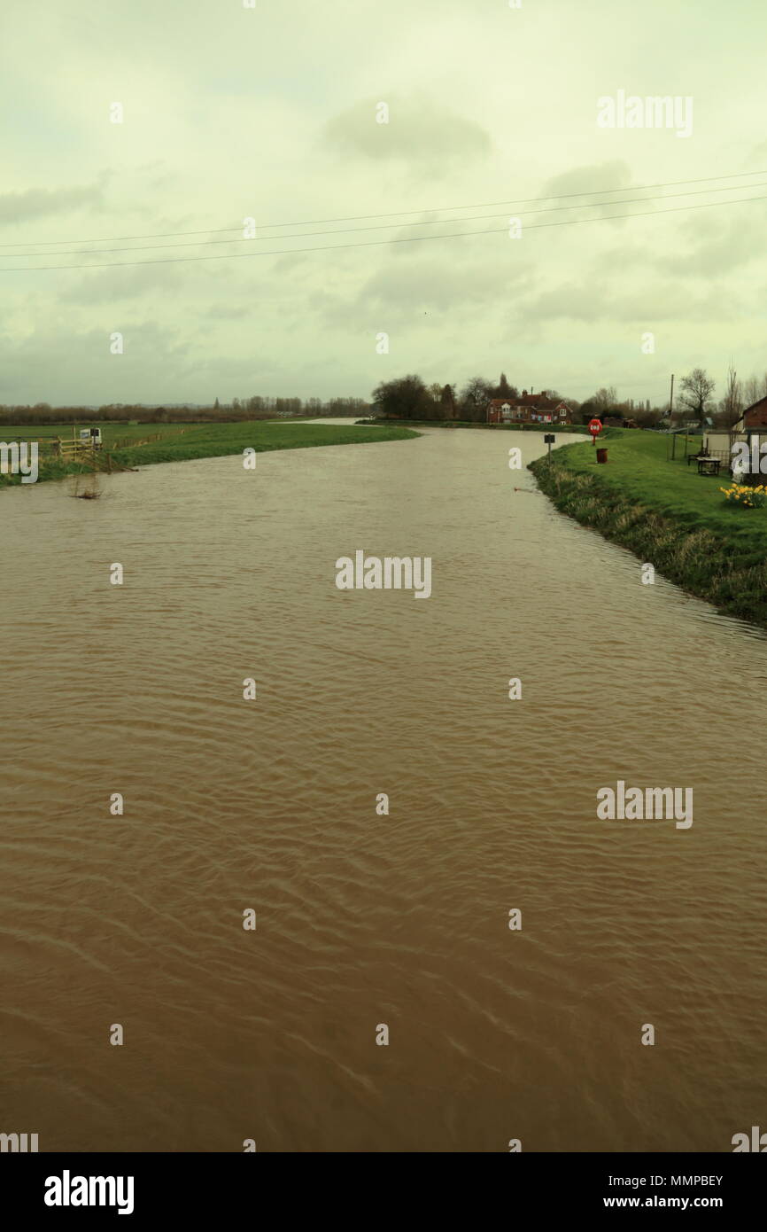 Swollen river,Athelney,Somerset Stock Photo Alamy