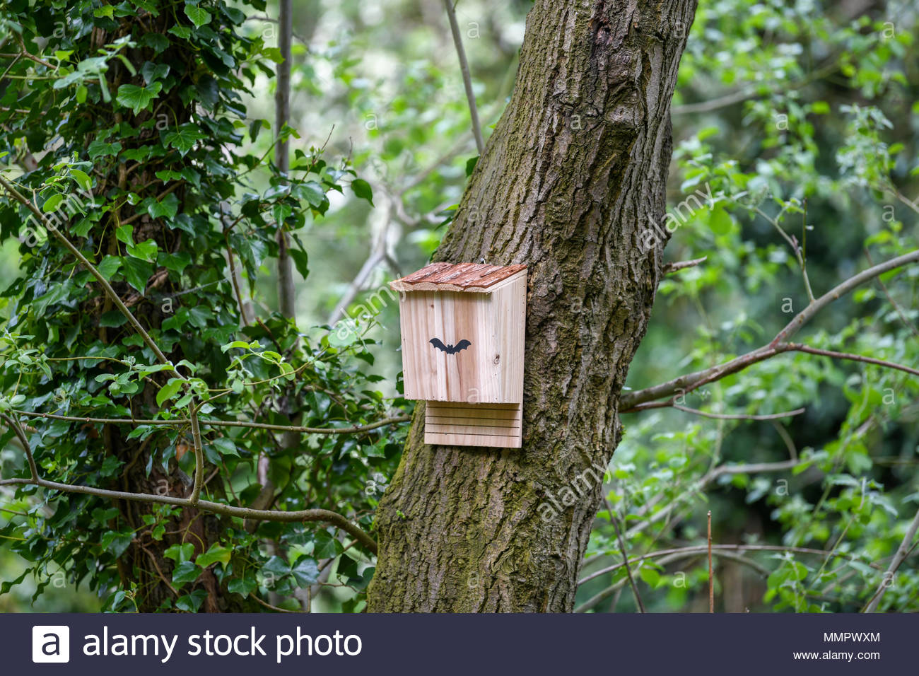 Bat Boxes Stock Photos & Bat Boxes Stock Images - Alamy