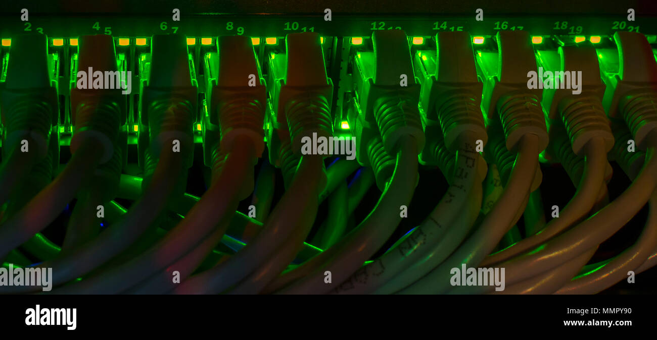 Utp Cable Switch Hub Router Close-up datacenter utp cableconnectors, router, switch network Stock ...