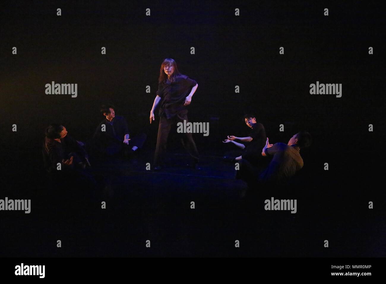 Swan Lake At The Place 17 Duke Road , London Stock Photo Alamy