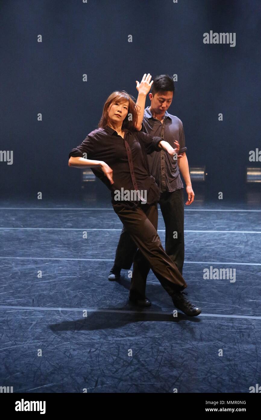 Swan Lake At The Place 17 Duke Road , London Stock Photo Alamy