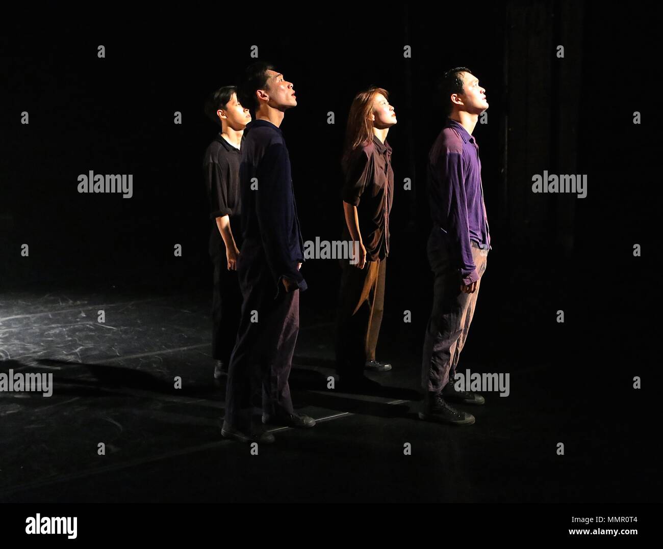 Swan Lake At The Place 17 Duke Road , London Stock Photo Alamy