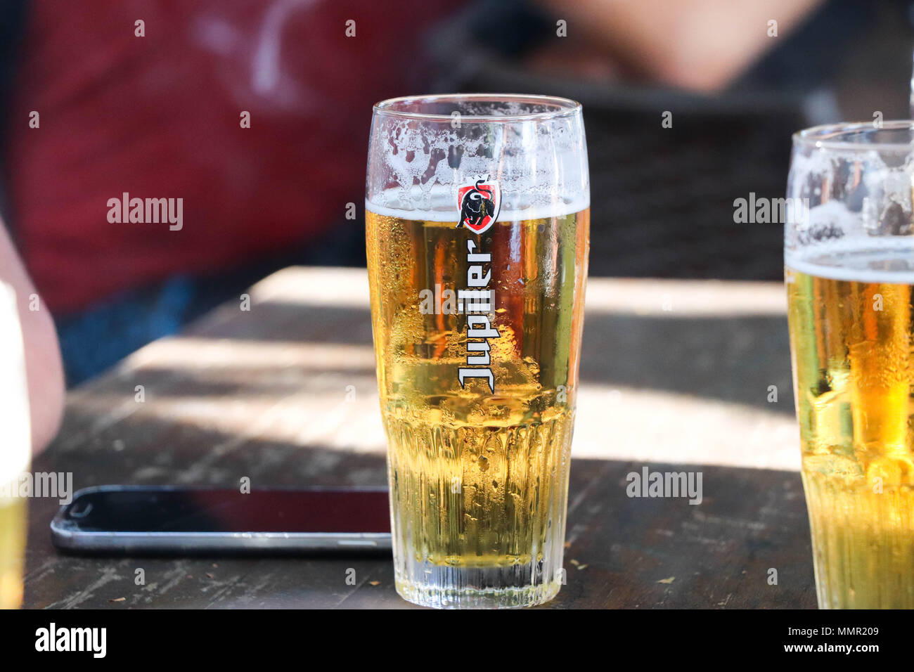 Glass of Jupiler Beer belgium belgian Stock Photo Alamy