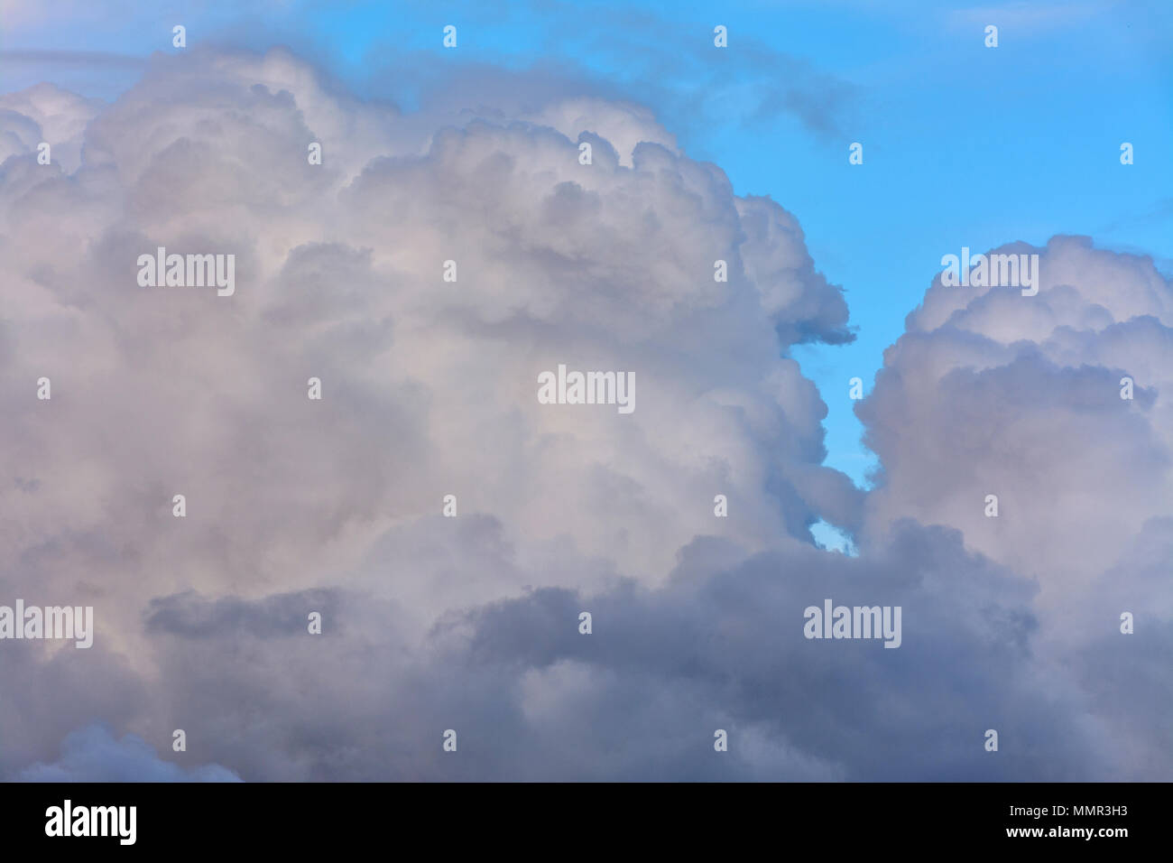 Cumulus clouds in the evening sunset sky Stock Photo - Alamy