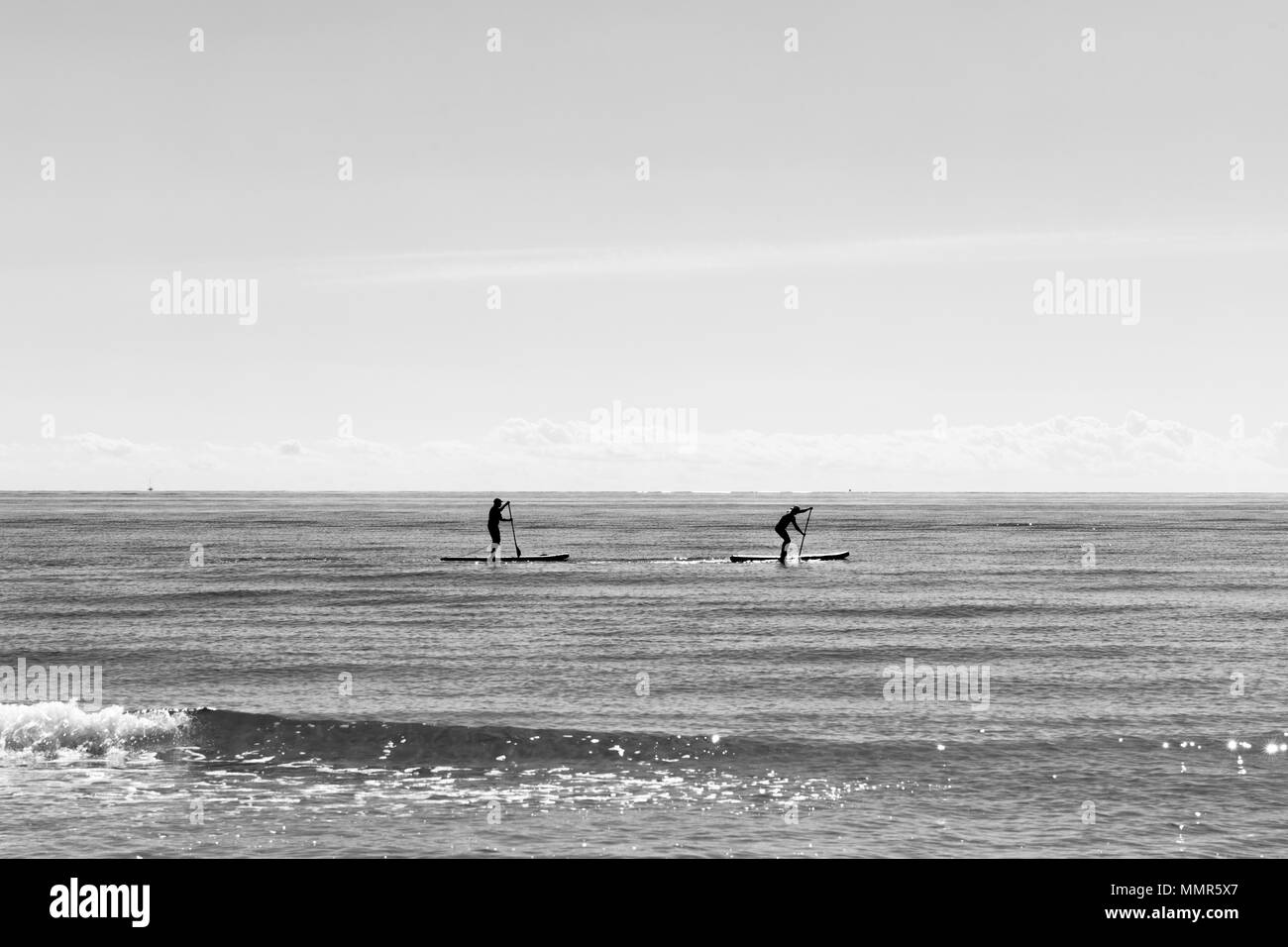 paddle boarding silhouettes in a calm mediterranean sea, black and white photo with free space for text Stock Photo