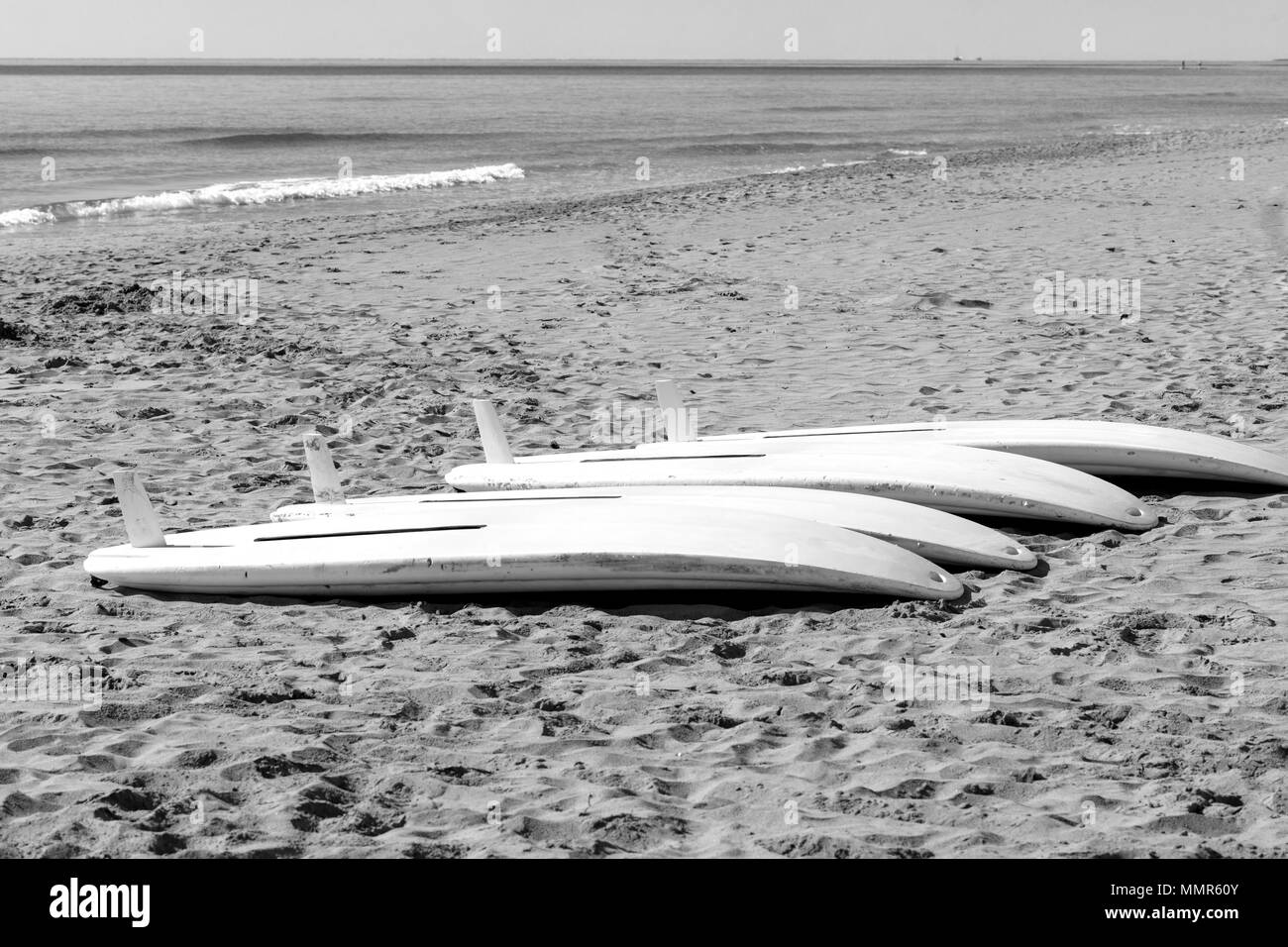 Windsurfing Black and White Stock Photos & Images - Alamy