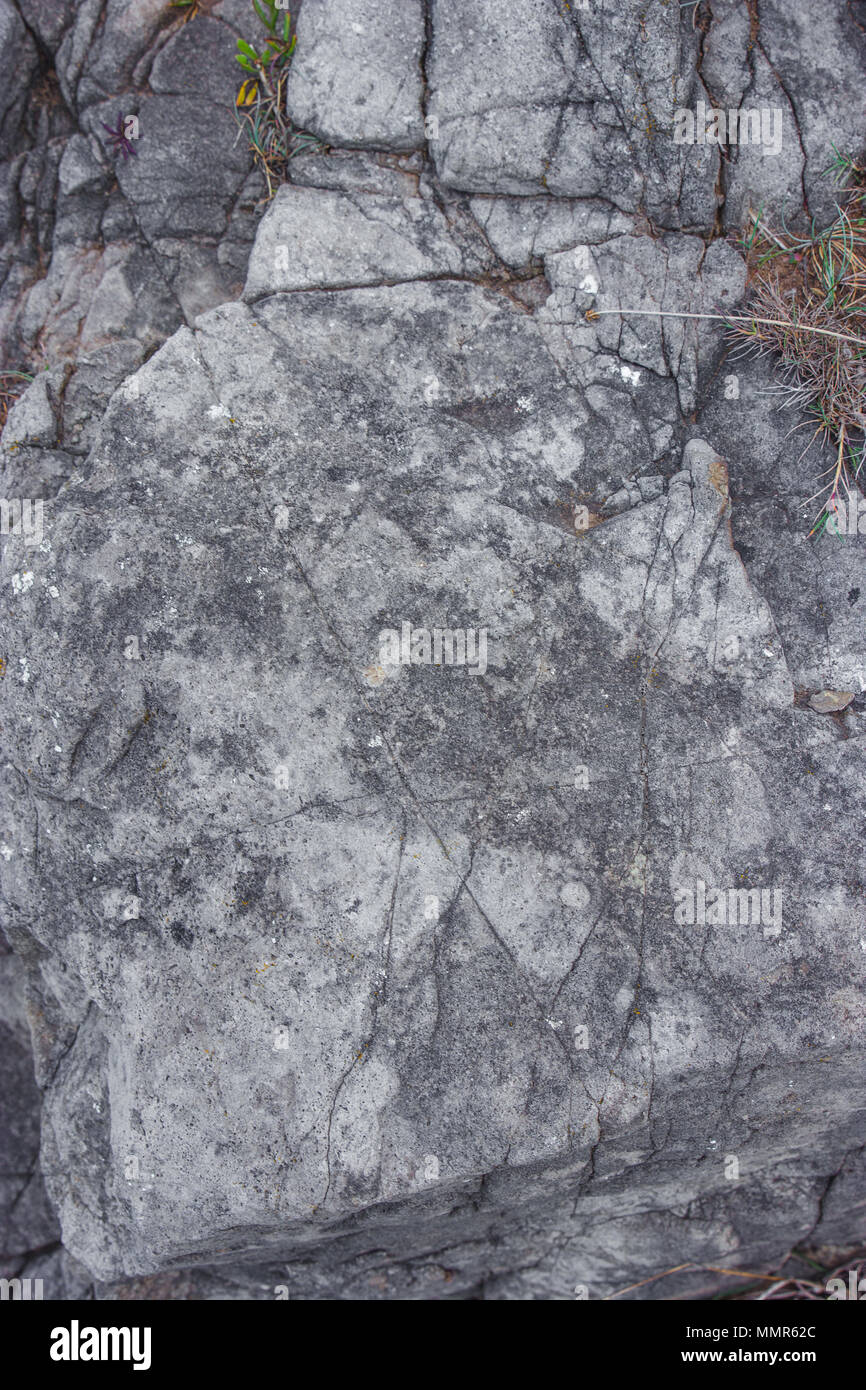 Natural Grey Rock Texture Stock Photo Alamy