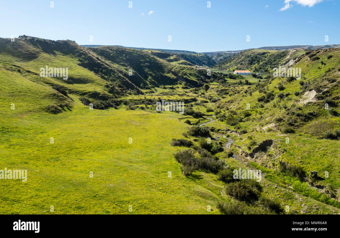 Lonely farm near Punta Arenas, Patagonia, Chile Stock Photo Alamy