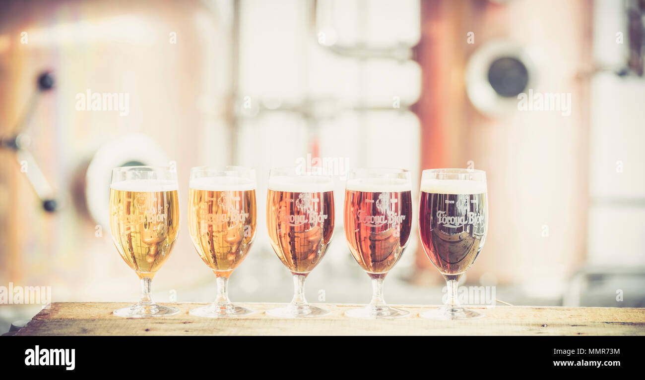 Panoramic of  glasses of beer, Foroya Bjor family brewery, Klaksvik, Bordoy Island, Faroe Islands Stock Photo