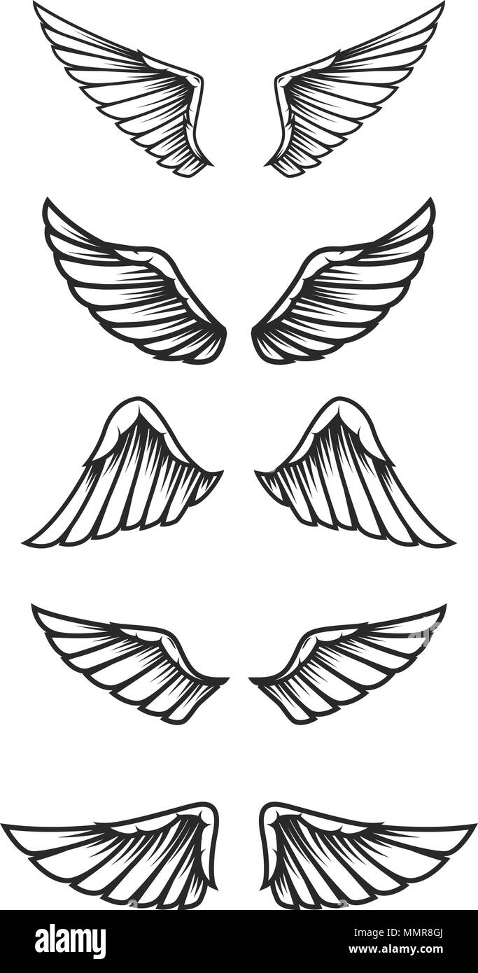 Set of wings on white background. Design elements for logo, label ...