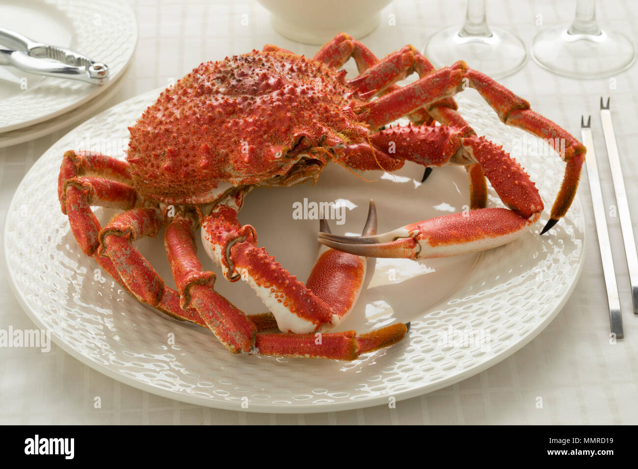 Whole cooked spider crab on a dish Stock Photo - Alamy