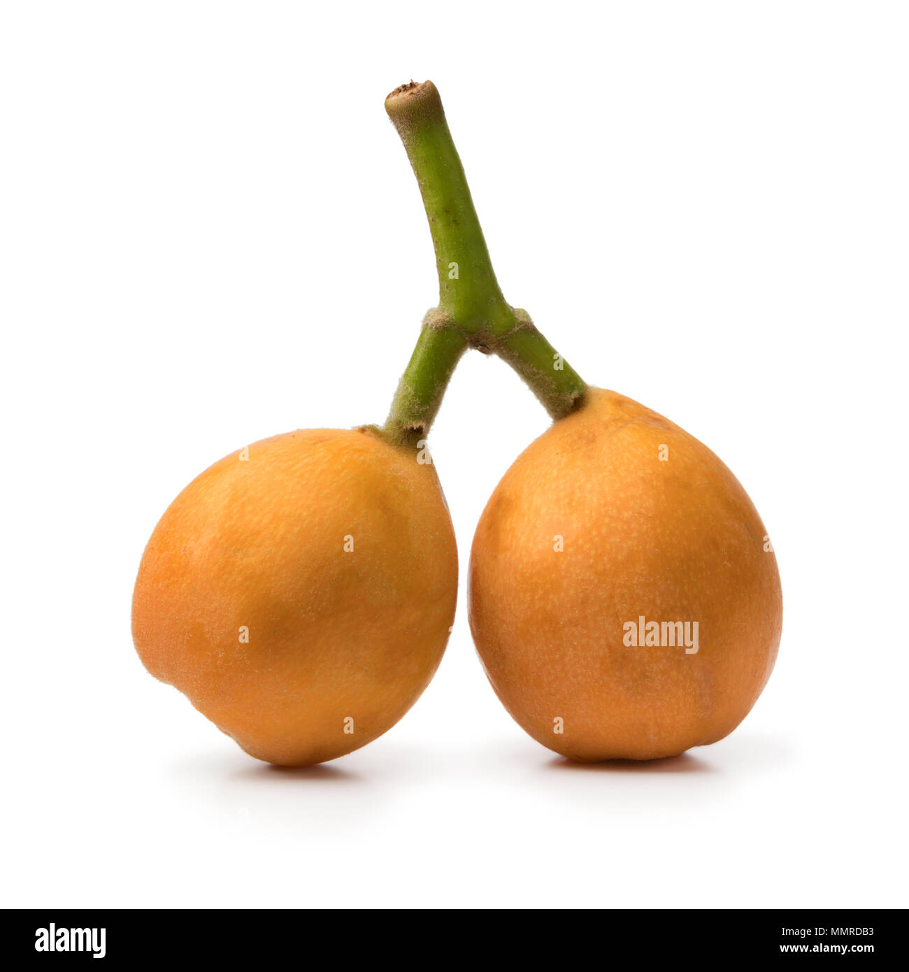 Exotic fruits on your table: how to eat loquat Exotic fruits on your table: how to eat loquat
