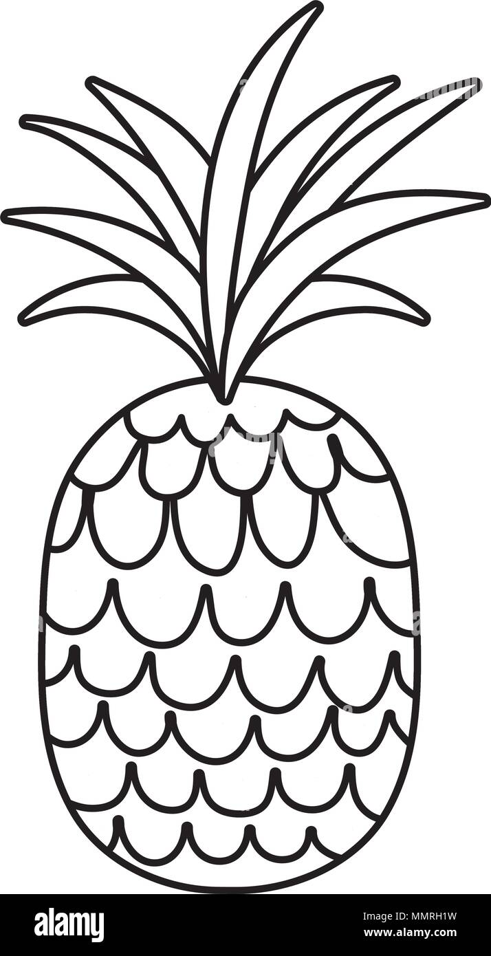 line tropical pineapple fruit exotic nutrition Stock Vector Image & Art ...