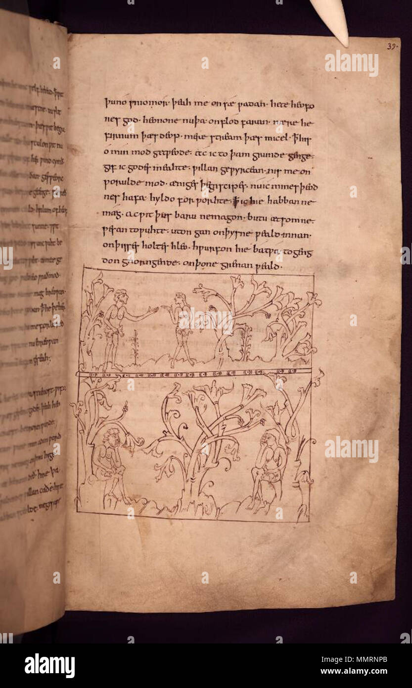 Flame Tree Address Books- Bodleian Libraries: A Reader's Delight (Address Book - View #2