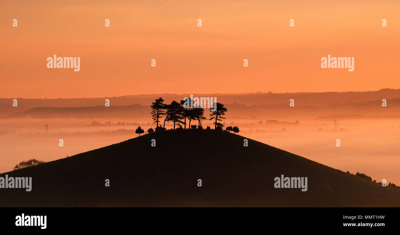 Colmers hill near bridport uk hires stock photography and images Alamy
