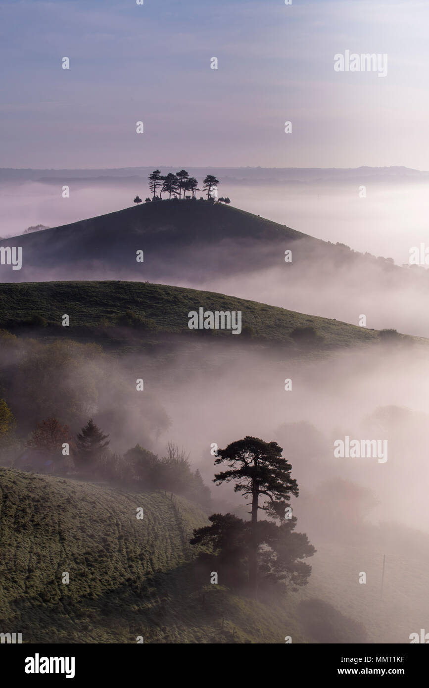 Colmers hill near bridport uk hires stock photography and images Alamy