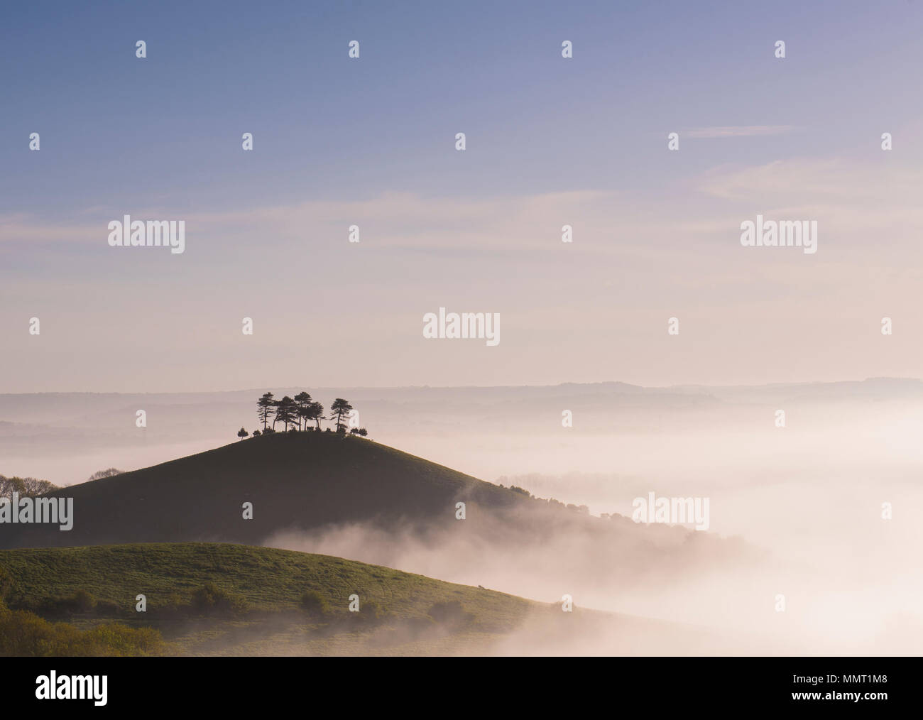 Colmers hill near bridport uk hires stock photography and images Alamy