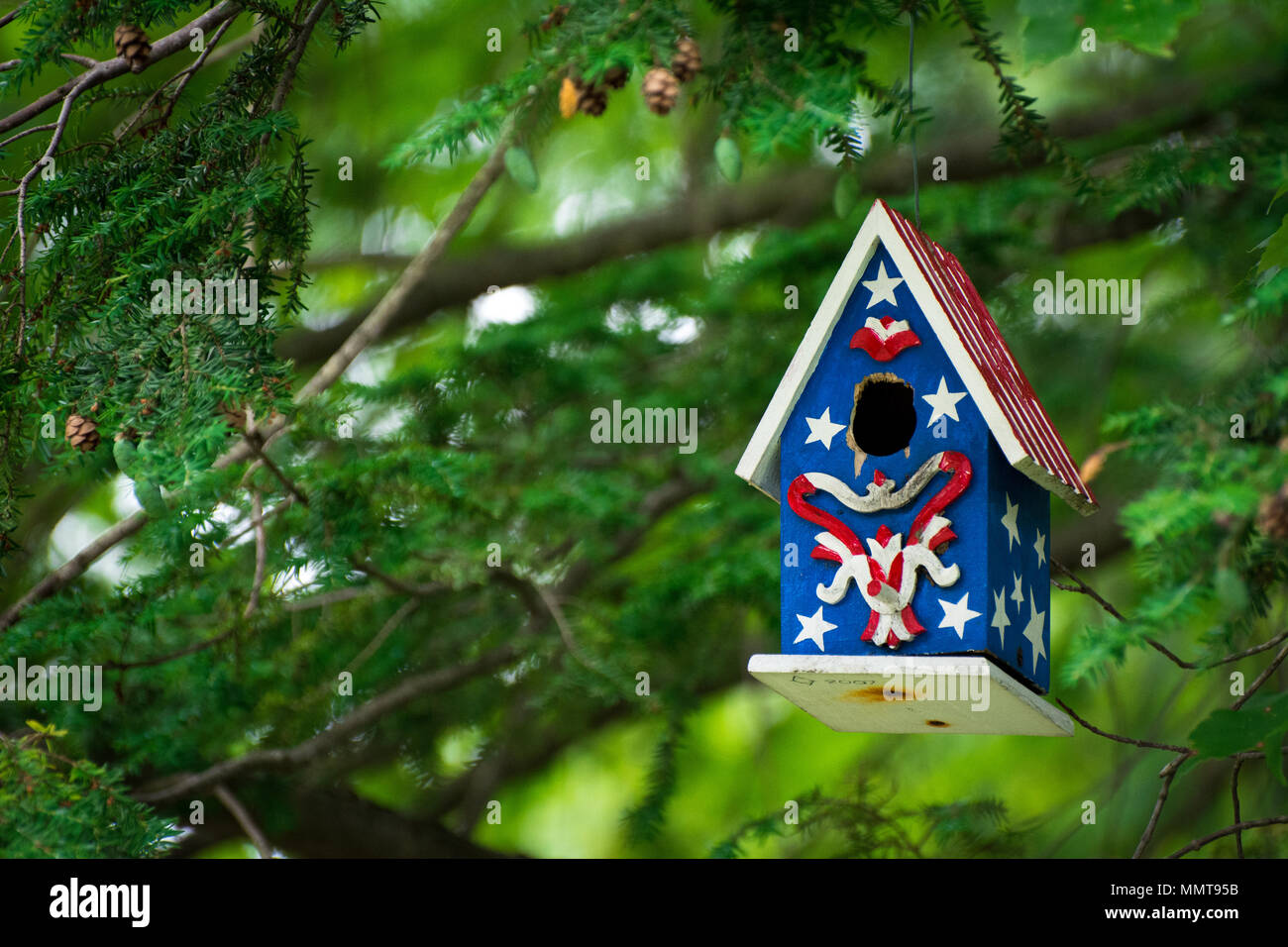 A colorful birdhouse hanging on a tree branch Stock Photo