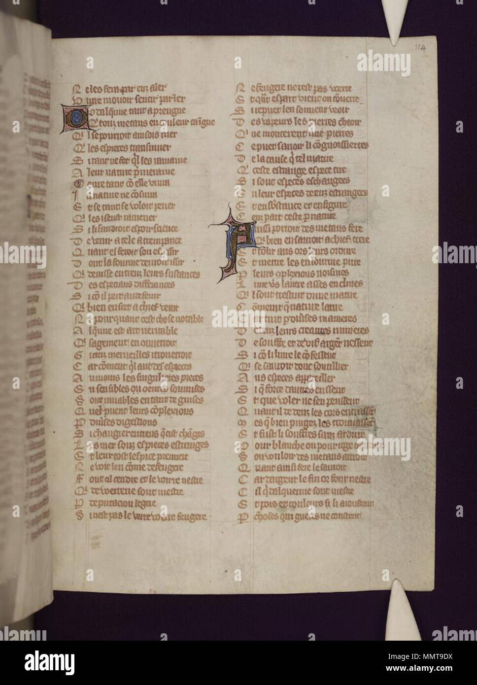 . Guillaume de Lorris and Jean de Meung, Le Roman de la Rose, in an illustrated copy dated in a half-erased inscription at fol. 153v, Paris 1348.; 114r  Le Roman de la Rose. 1348. Bodleian Libraries, Le Roman de la Rose 114r Stock Photo