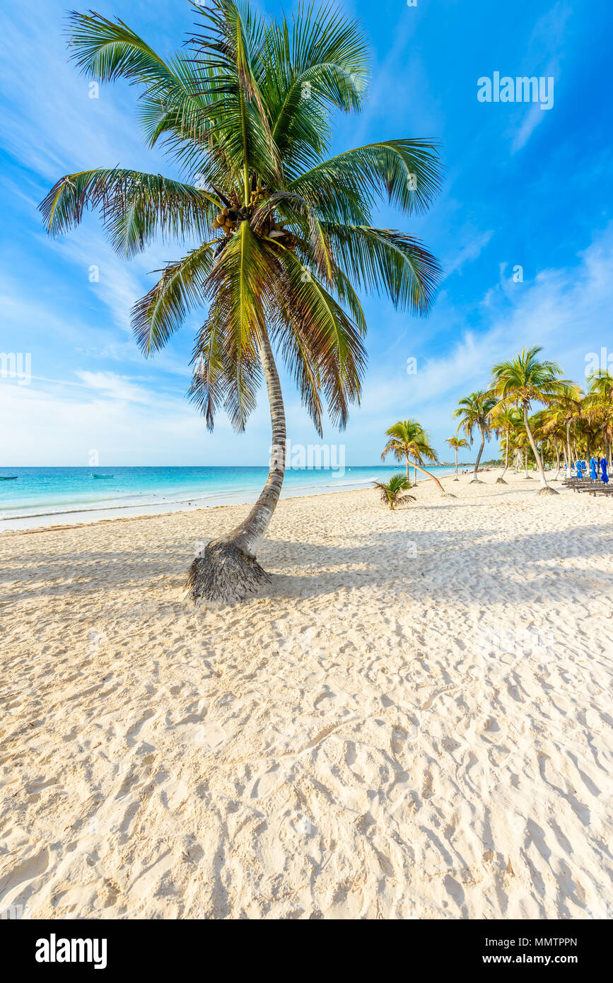 Tulum mexico sunset hires stock photography and images Alamy