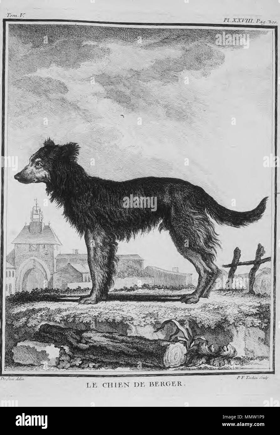 Le Chien Stock Photos Le Chien Stock Images Page 3 Alamy